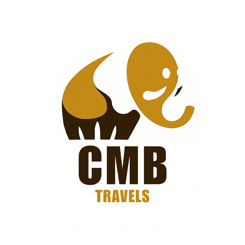 CMB Travels